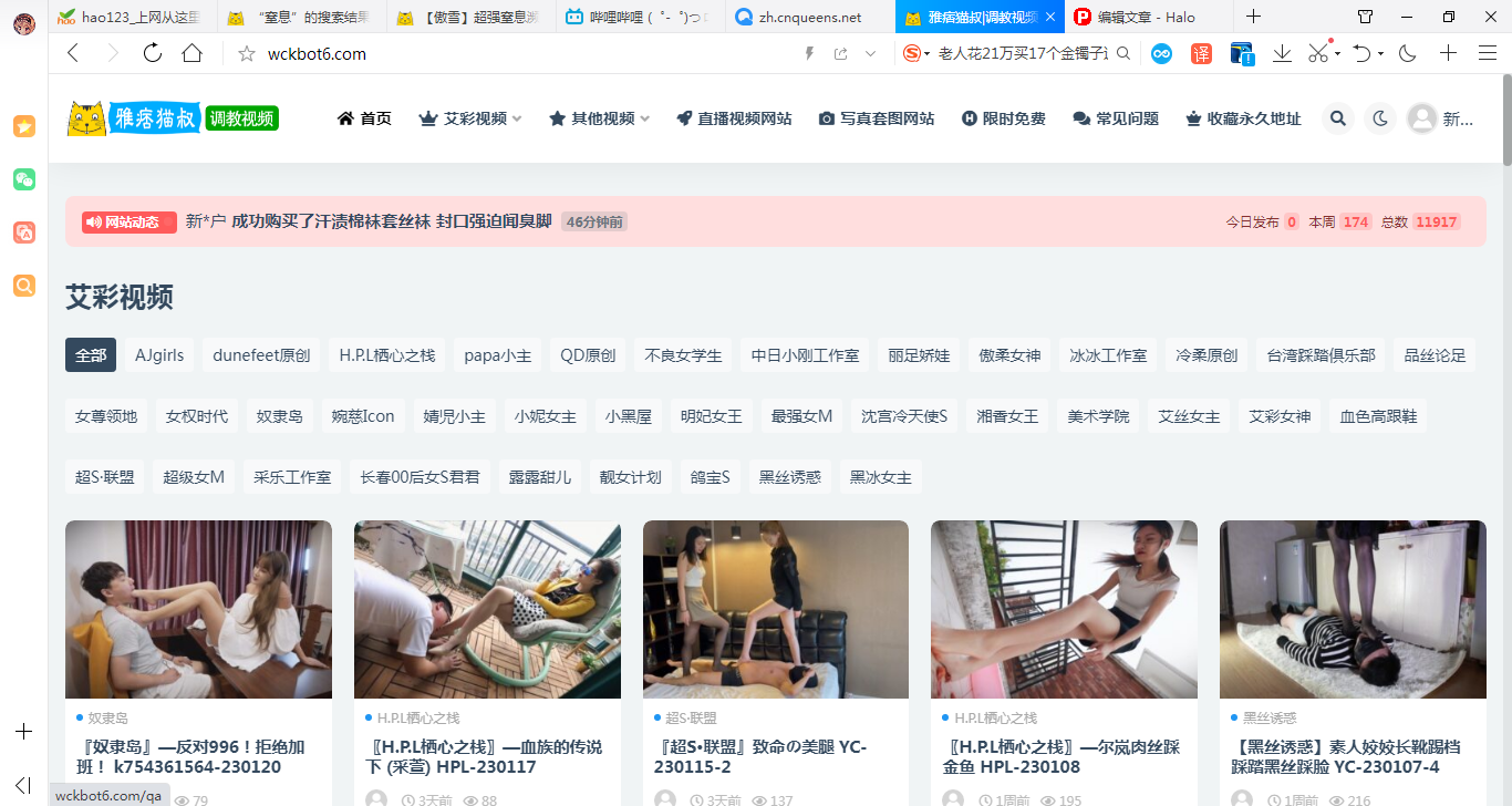 大概是第三方的SM网站.png