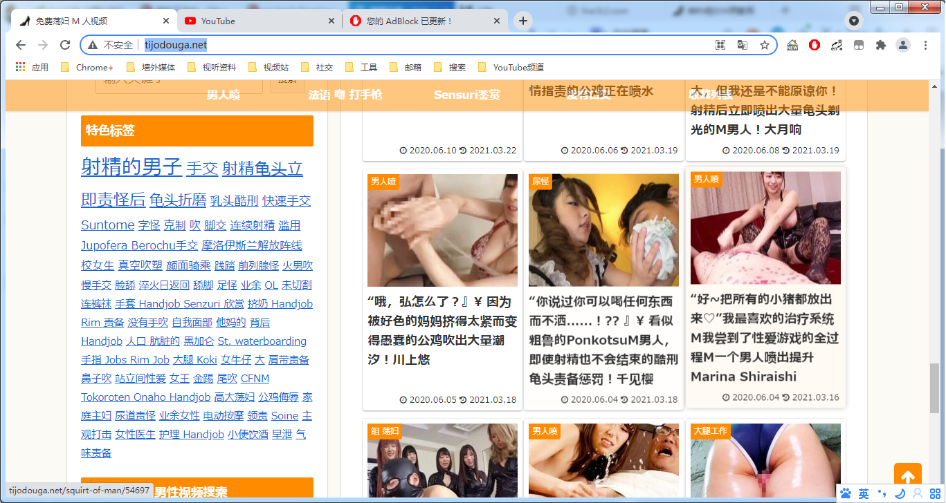 日本的sm网站大多都是轻口的.png