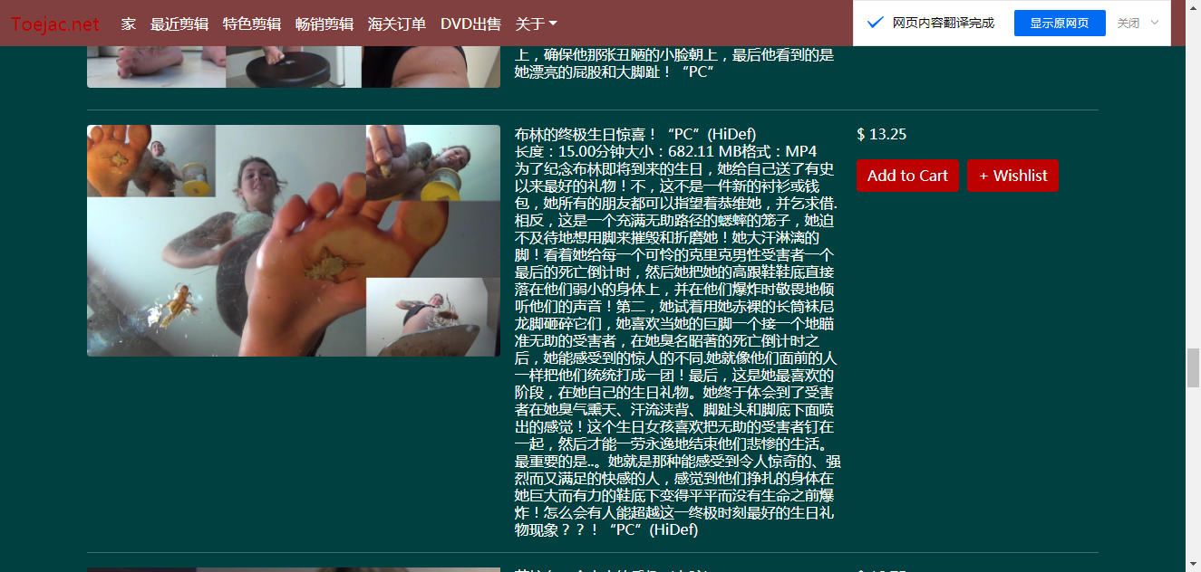 欧美那边缩小系的网站.png