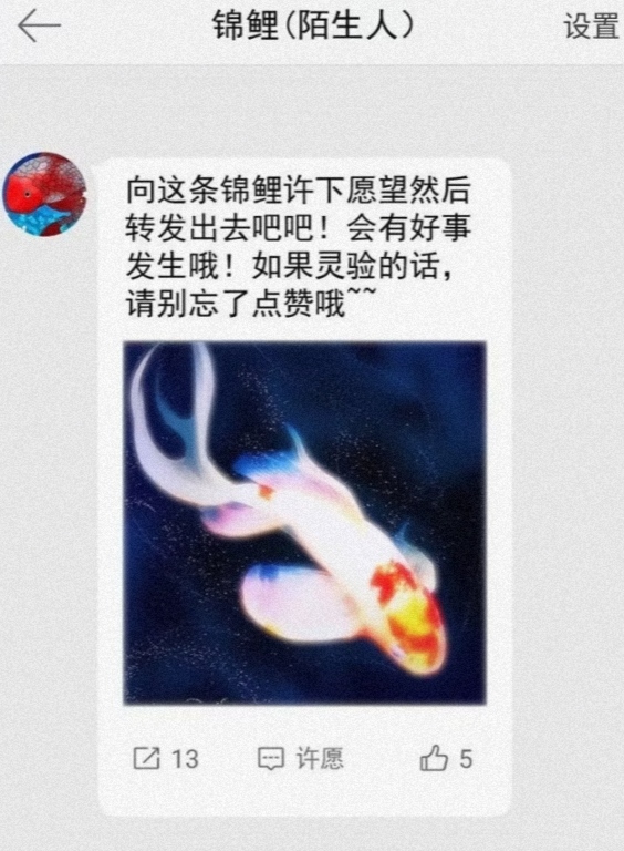 锦鲤.jpg
